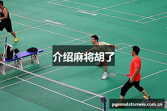 介绍麻将胡了